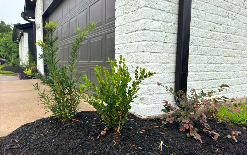 Sagemont Retreat — landscaping project in Houston